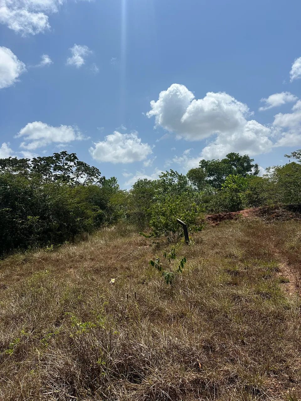 Terreno  - Foto 4
