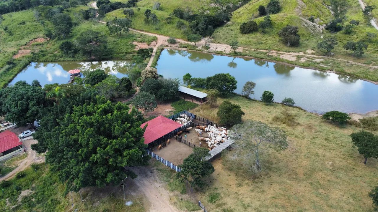 Fazenda de 32 alqueires em Padre Bernardo  - Foto 3
