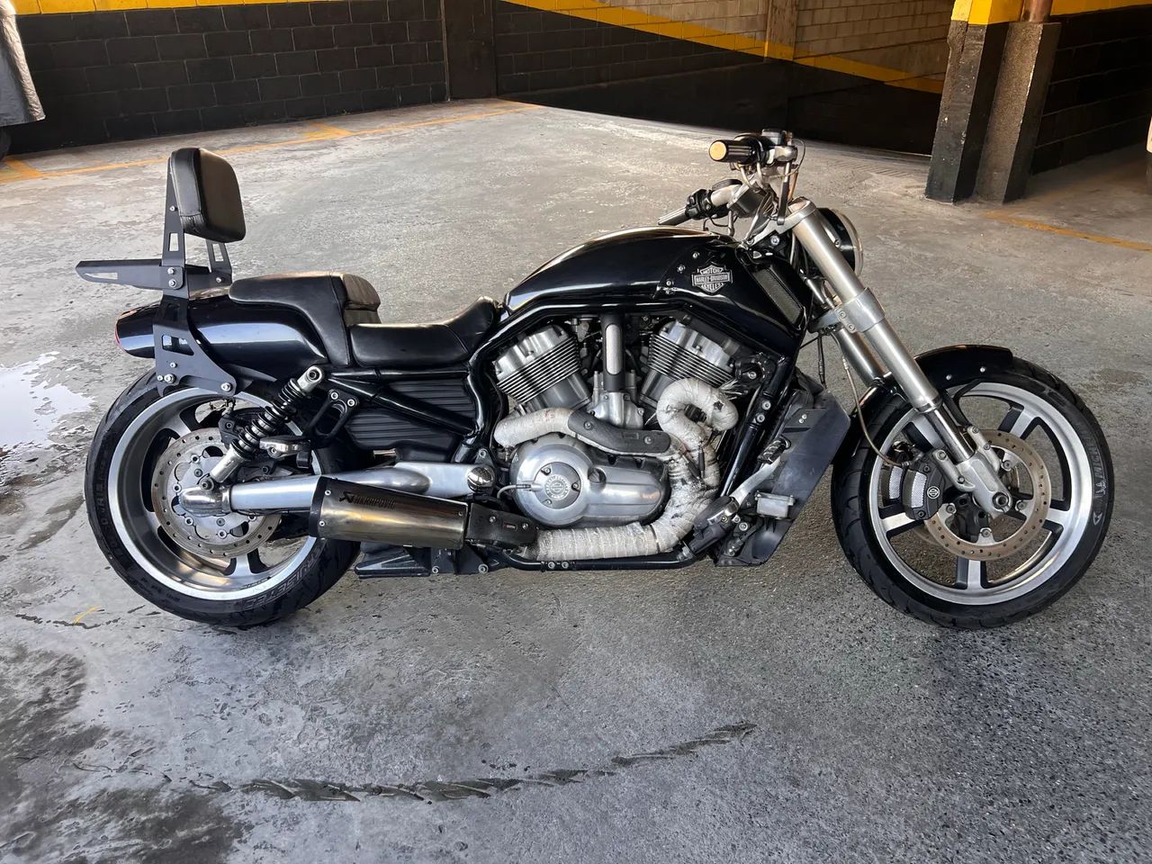 V-rod muscle 