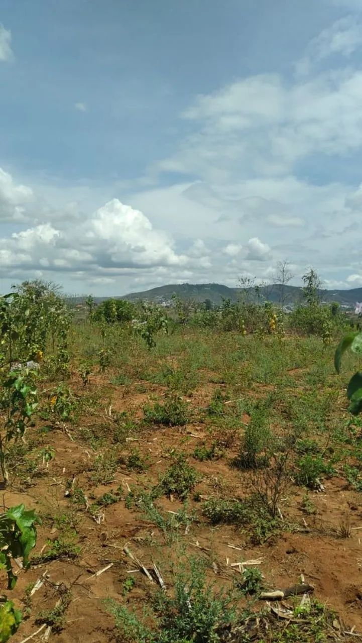 Terreno com curso dagua Palmeira dos Indios - Foto 2