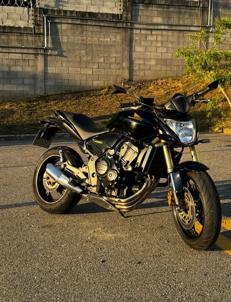 Hornet 2010 