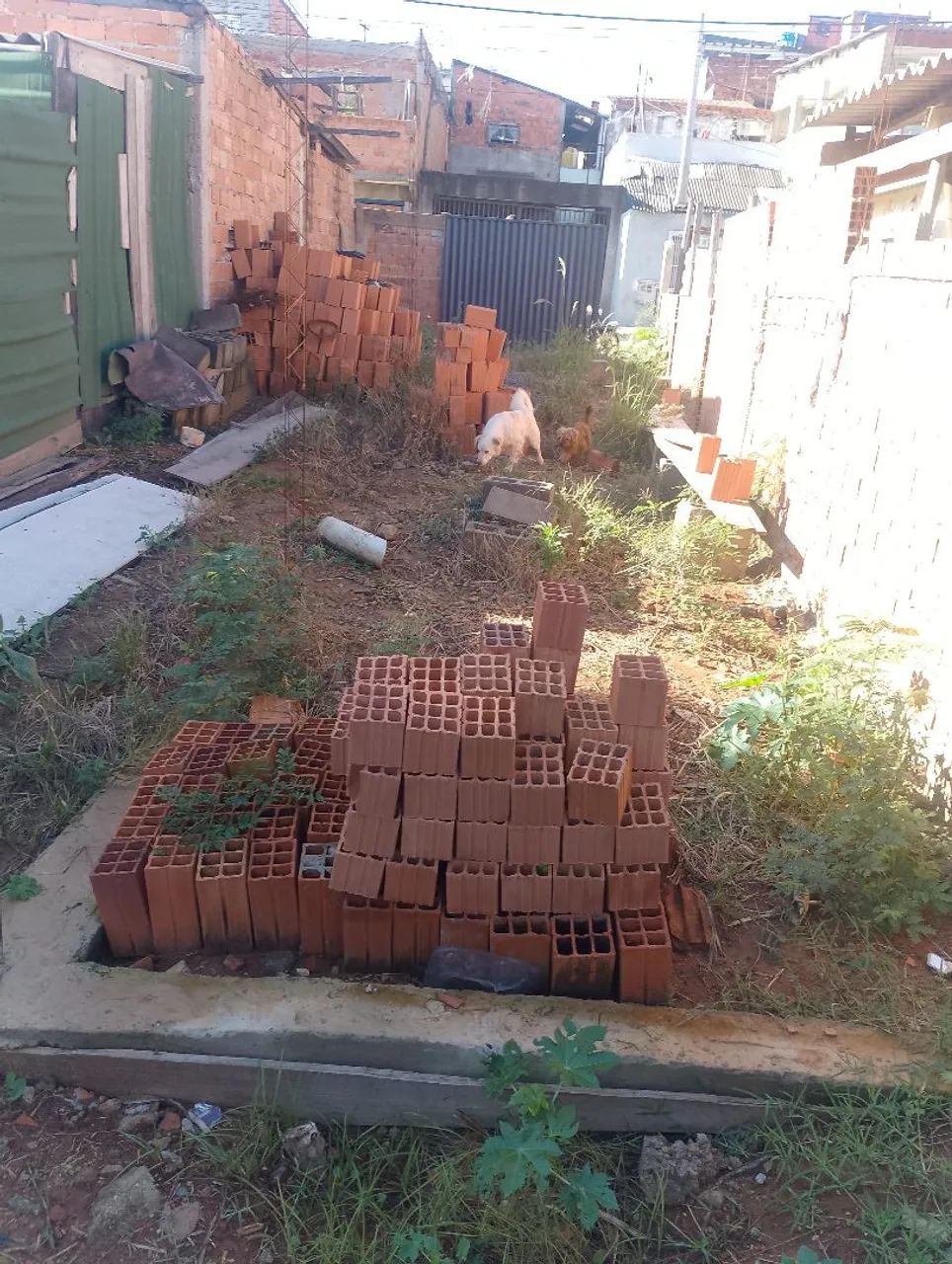 Terreno à venda. - Foto 4