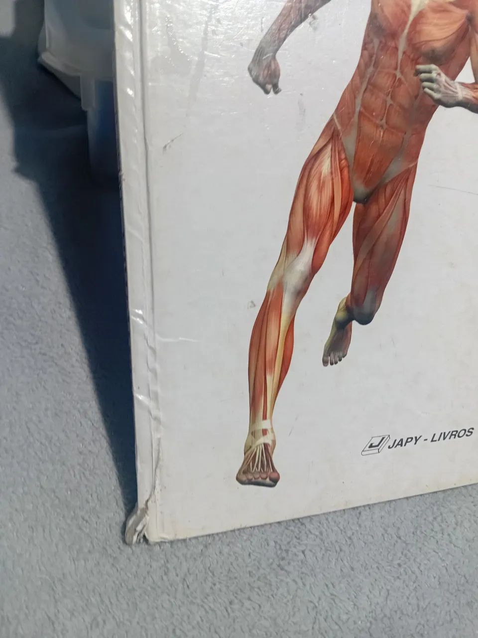 Livro de anatomia  - Foto 2
