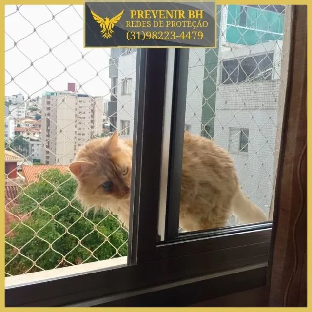rede proteção para gatos - Foto 5