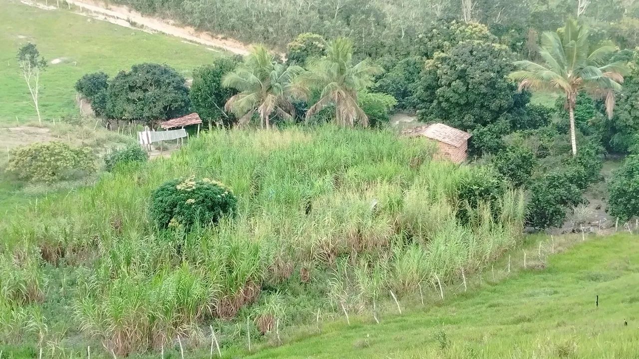 Sítio a venda em itaporanga D'ajuda  - Foto 3