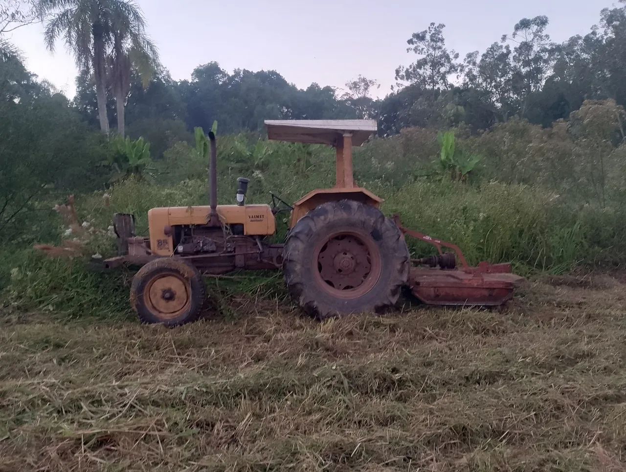 Roçagem mecanizada, limpeza de terrenos, corte de grama