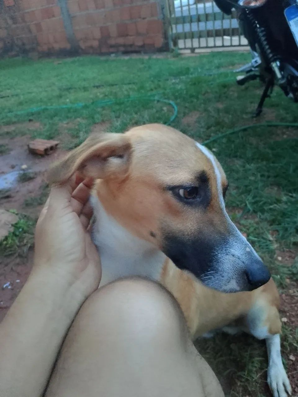 Doação  - Foto 2