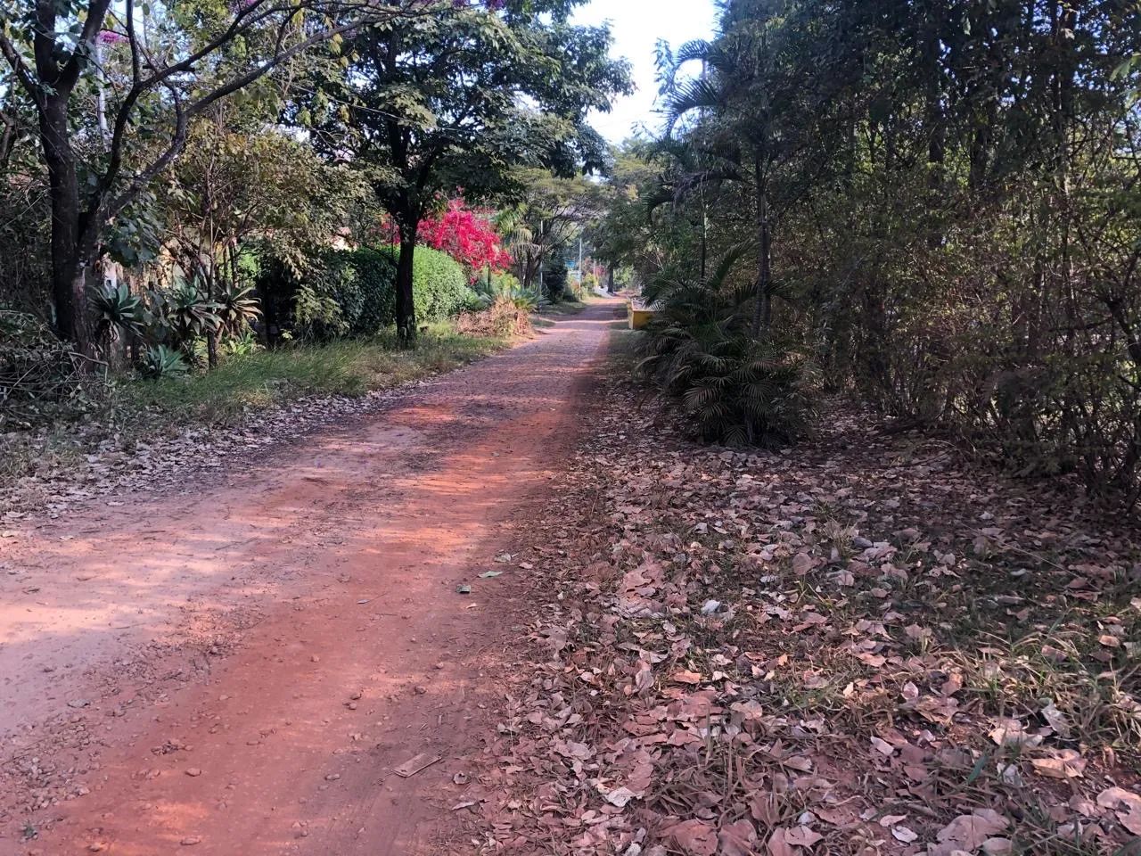 Foto - Igarapé - Residencial Ouro Verde