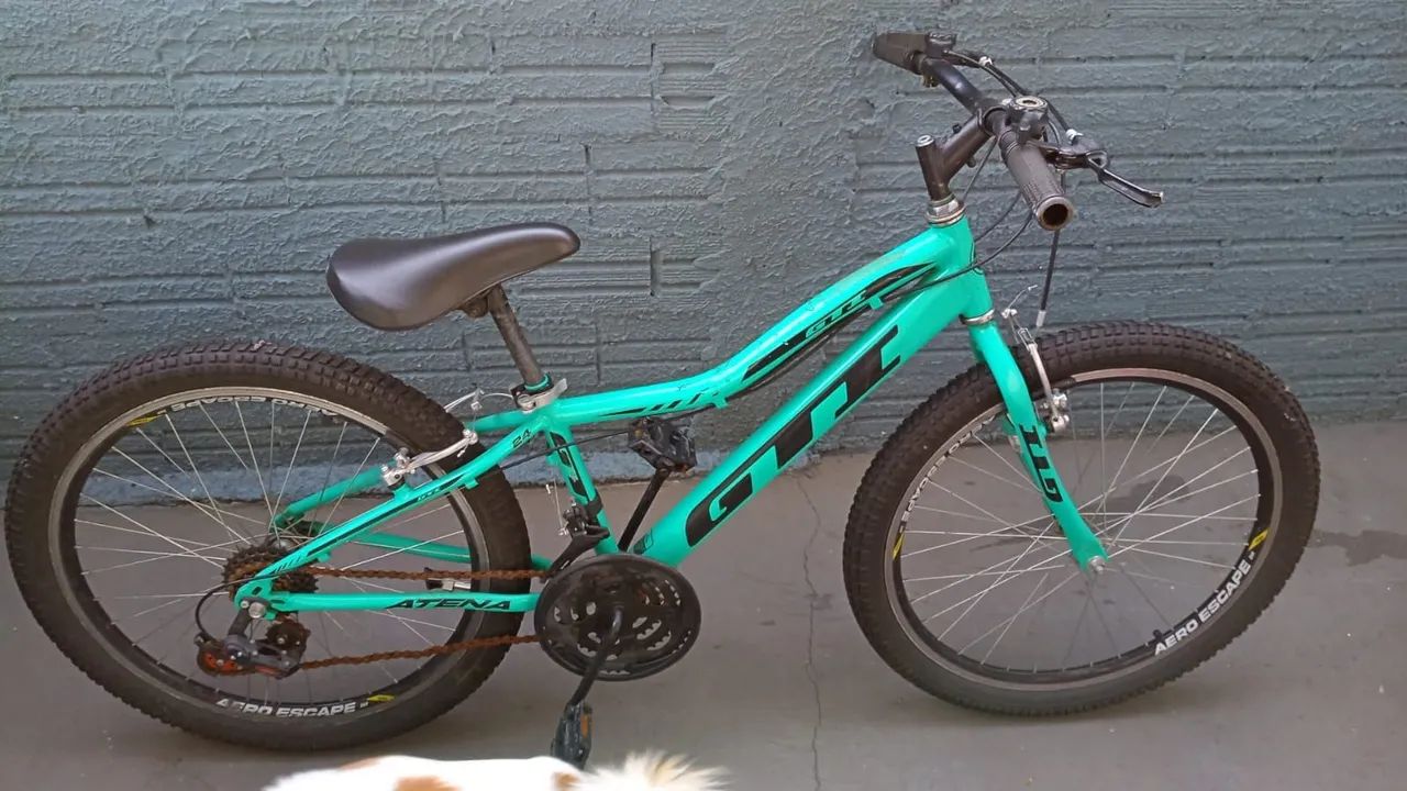 Bicicleta  - Foto 2