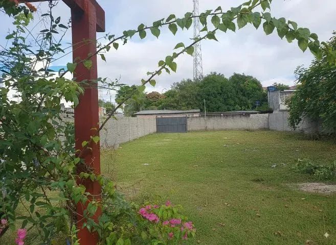 Limpeza de terrenos  - Foto 2