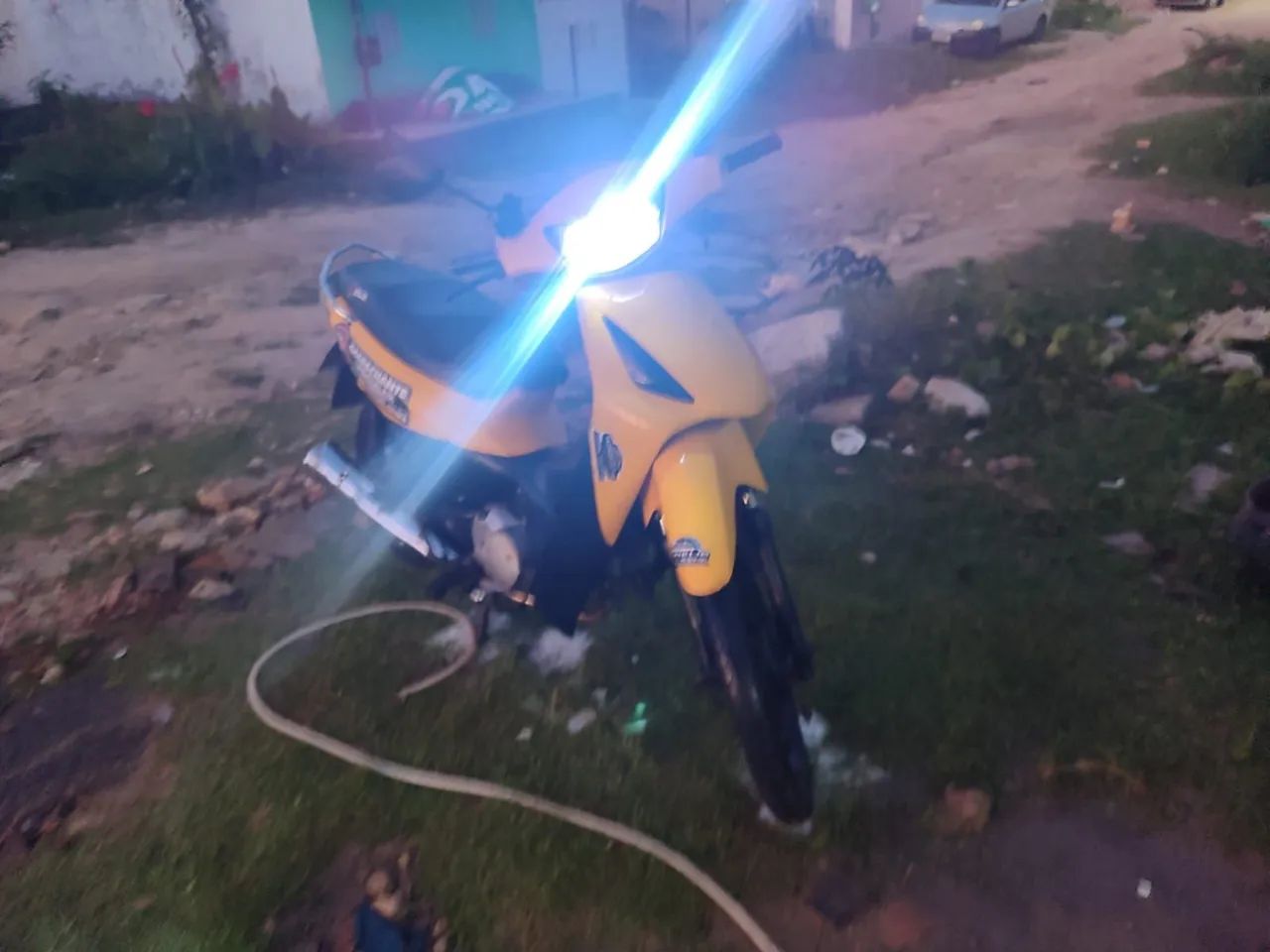 Biz boabiz para vender  - Foto 2