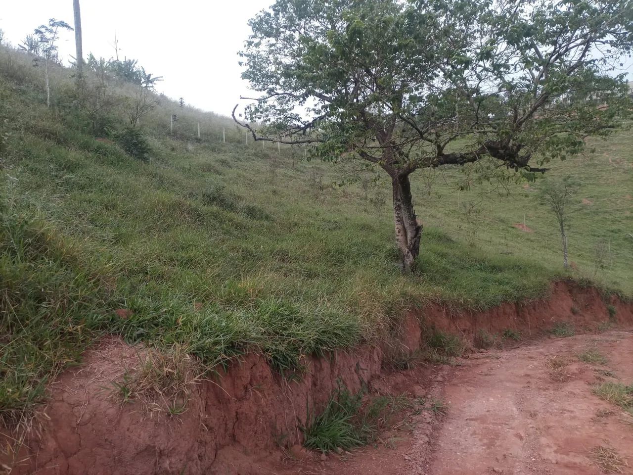 Vende se chácara 1000 m2 - Foto 2
