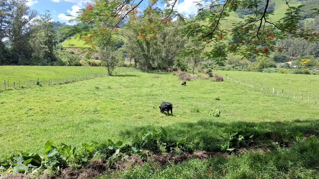 Terreno 9.000m²,Itajubá Mg