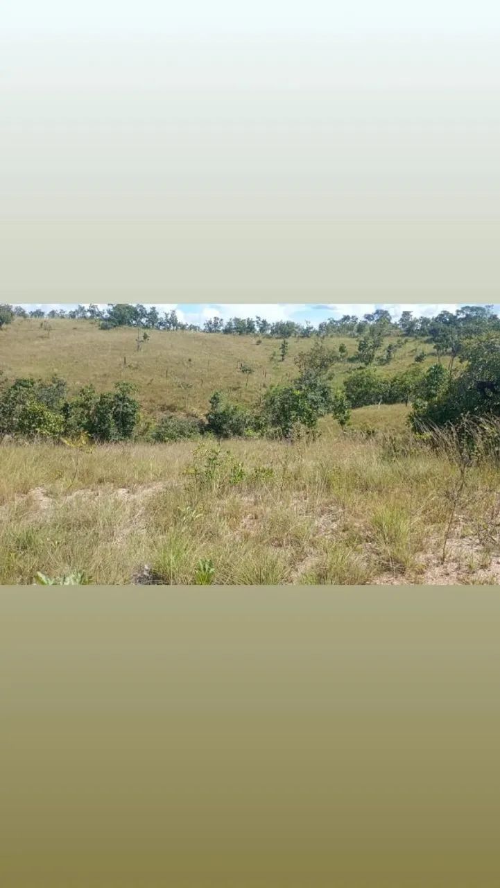 Lote em três ranchos  - Foto 3