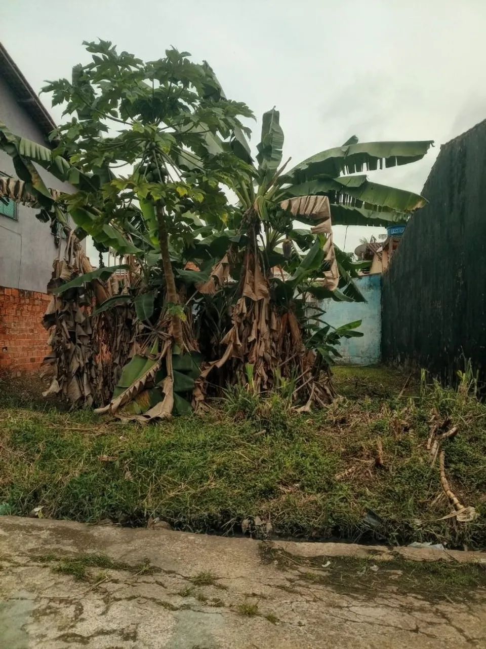 JARDIM AMAZONIA II - Foto 5