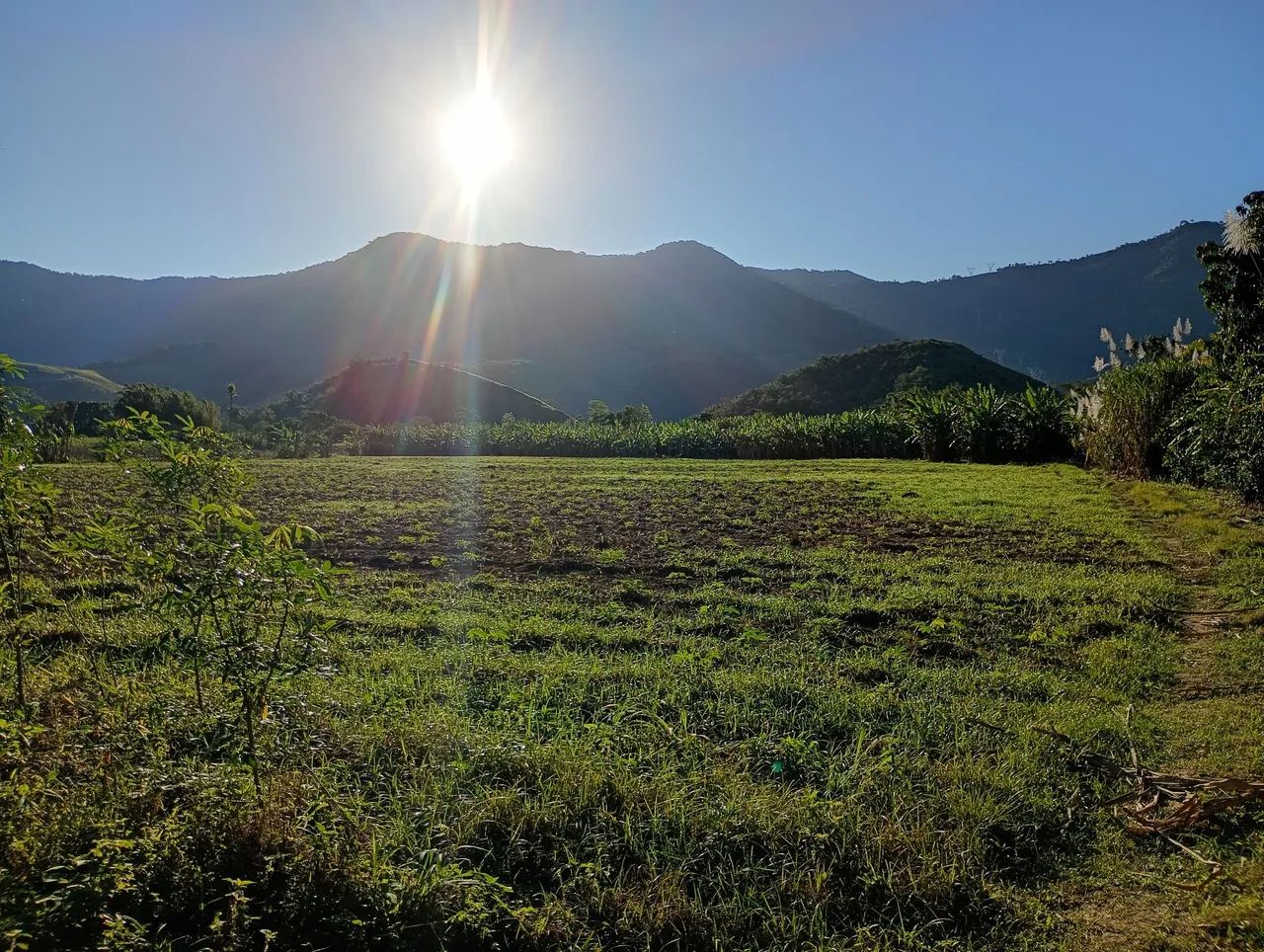 SÍTIO - JACERUBA - RJ
