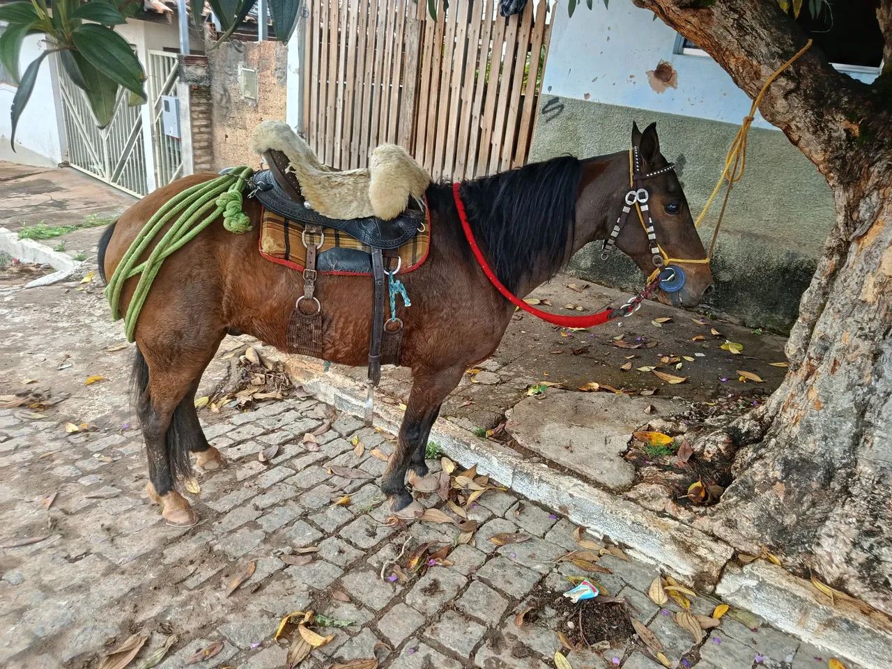 Vende-se  - Foto 2