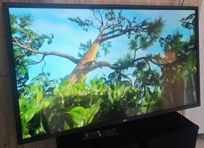 Smart Tv 43" Polegadas LG - COM DETALHE - Foto 2