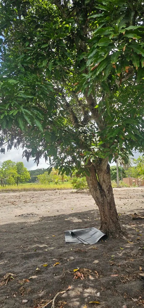 sitio chacara terreno com rio perene - Foto 5