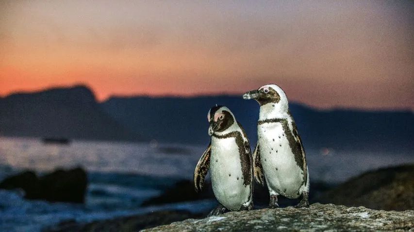  Freelance em trabalhos no excel