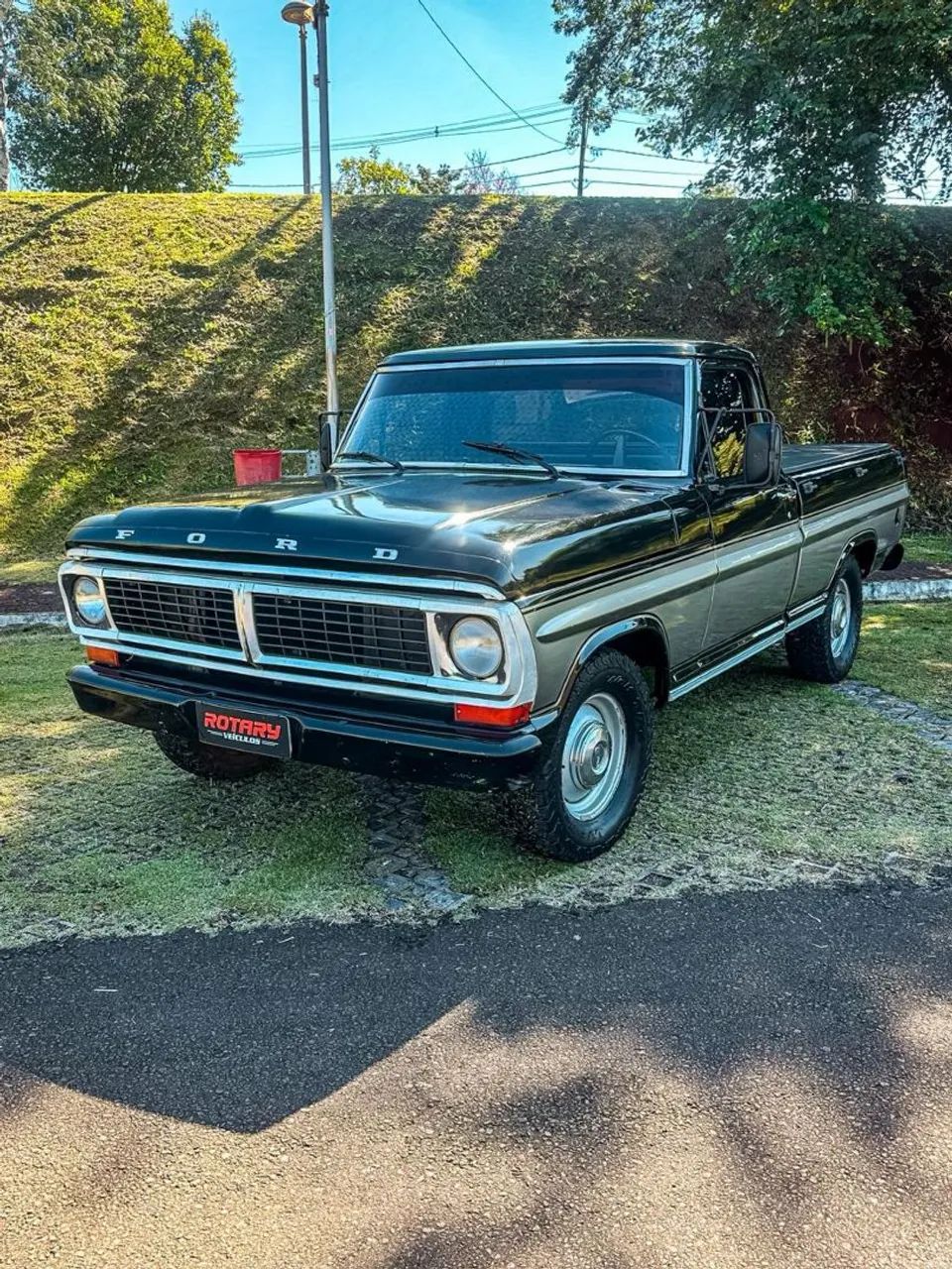 Ford F-1000 Super Serie CE Diesel 3.9 1983