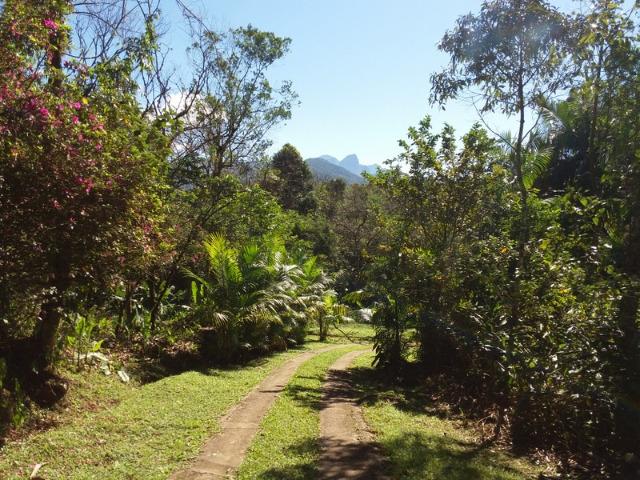 Lindo sítio em Morretes ideal para exploração com turismo - Foto 18