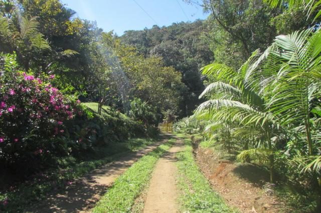 Lindo sítio em Morretes ideal para exploração com turismo - Foto 20