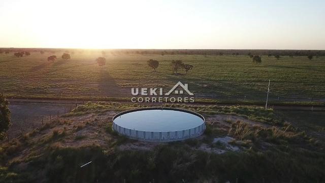 Área rural 47.000 ha - Dupla Aptidão - Foto 3
