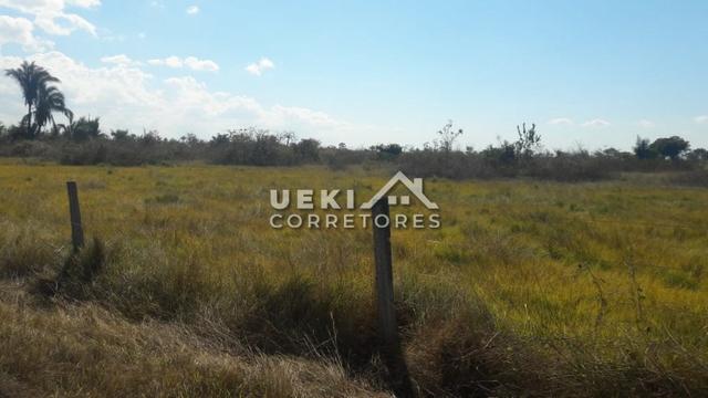 Área rural 14.000 ha. MT - Foto 4