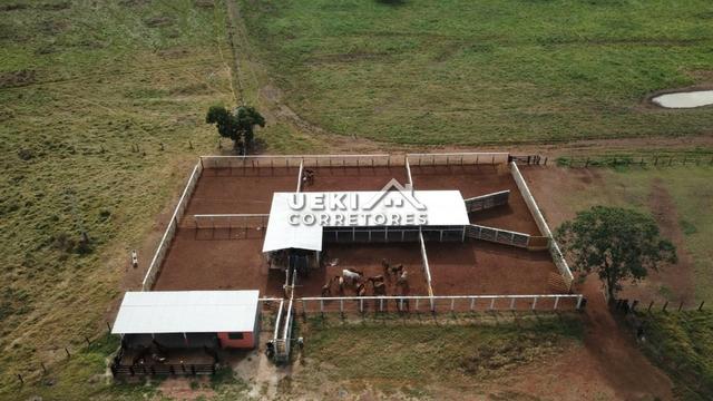 Área rural 47.000 ha - Dupla Aptidão - Foto 9