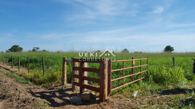 Área rural 47.000 ha - Dupla Aptidão - Foto 5