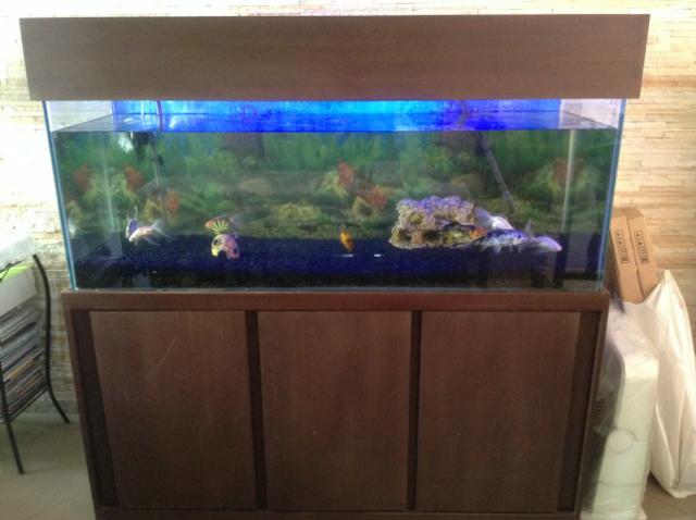 Vendo ou Troco Aquário Completo 450 litros. não tenho espaço para o aquário.