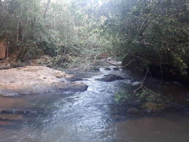 Sitio próximo do manso - Foto 6