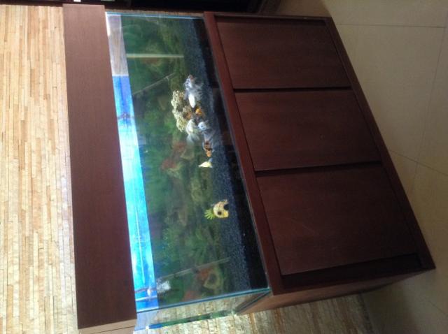 Vendo ou Troco Aquário Completo 450 litros. não tenho espaço para o aquário. - Foto 6