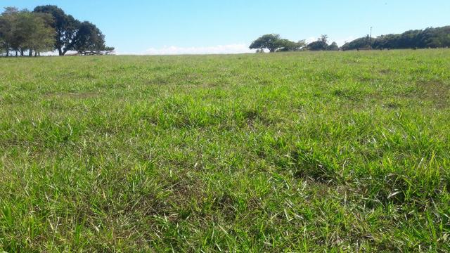 8,00 Alqueires, ótima localização, próximo Tangará da Serra- MT - Foto 5