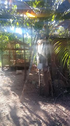 Aceito carro de ate 20 mil no negocio - Foto 17