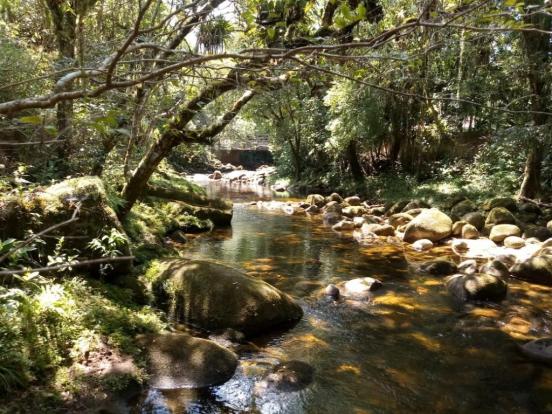 Chácara com 6.500m² - América de Cima - Morretes - Foto 6
