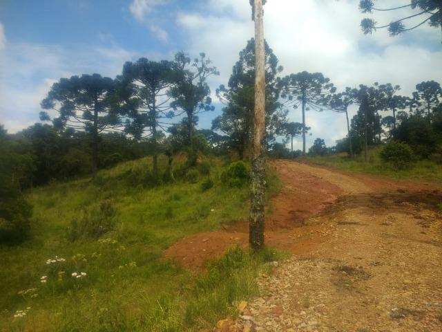 Fazenda em Tijucas do Sul -PR - Foto 9