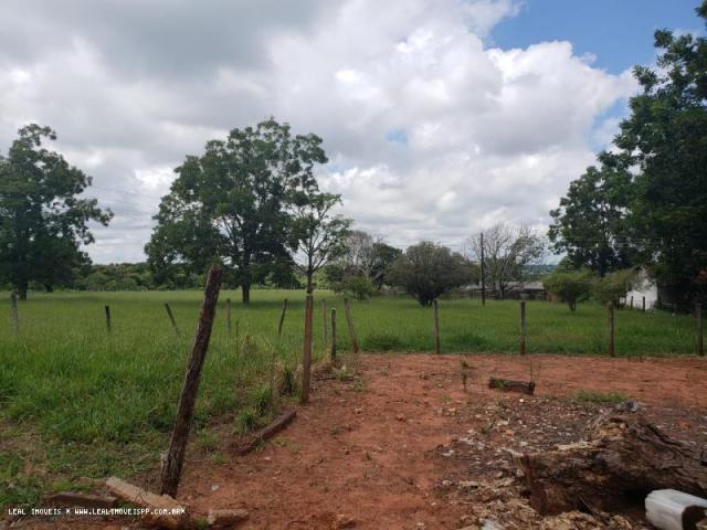 Sítio para venda em martinópolis, represa de martinopolis - Foto 13
