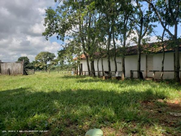 Sítio para venda em martinópolis, represa de martinopolis - Foto 3