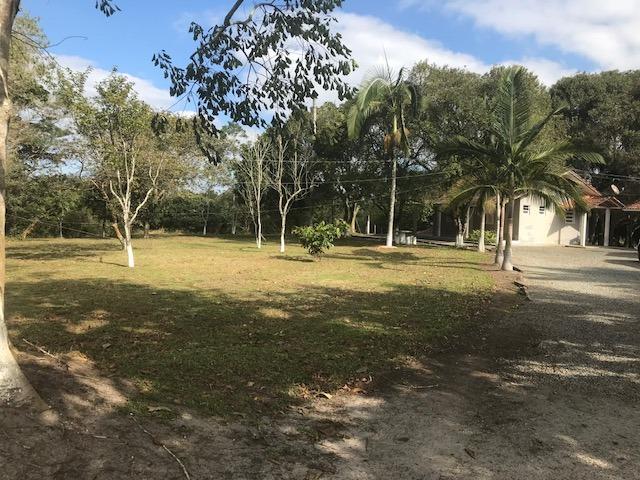 Vende-se Chácara BR 101 Piçarras/SC - Foto 14