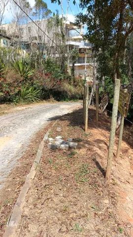 Terreno Braunes - Foto 2