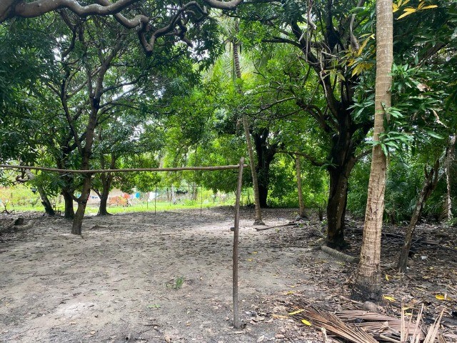 Sitio na avenida principal do timbuba, 25 x 100 , casa simples rua asfaltada - Foto 11