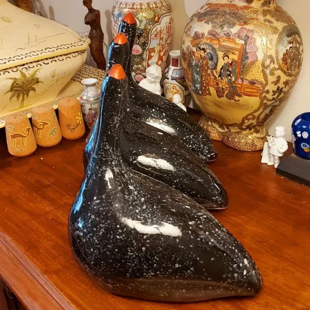 Exóticas galinhas de Angola  - Foto 4