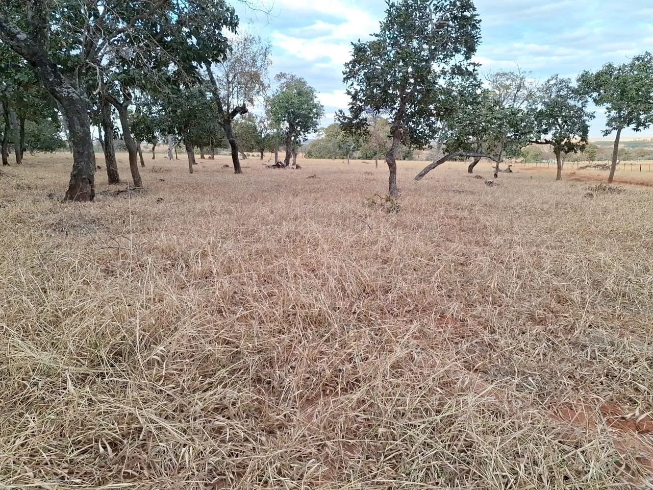 Chácara 2,5 km de Bela Vista de Goiás.  - Foto 2