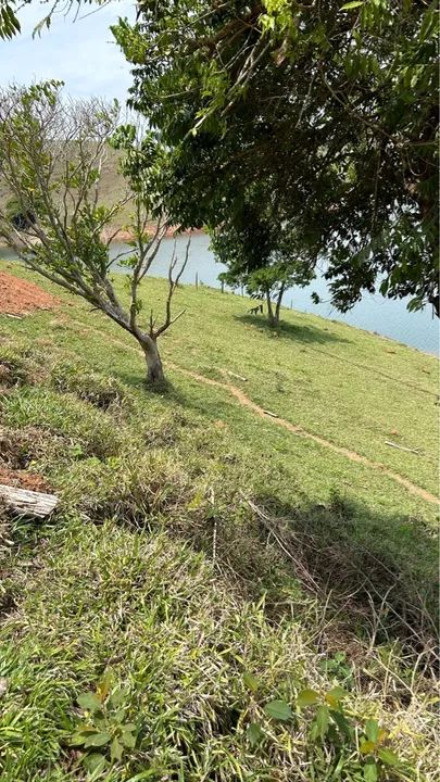 Represa Paraibuna-Redencao da Serra - Foto 11