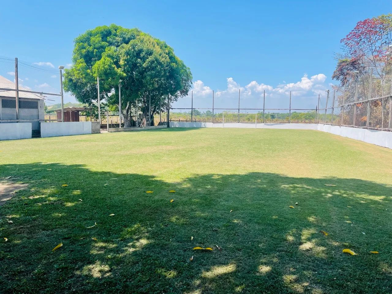 Chácara com 4.000 m2  - Foto 3