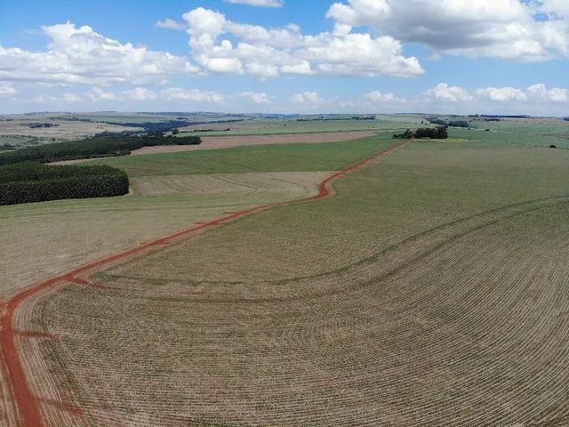 Fazenda 248 alqueiro 190 planta  - Foto 2