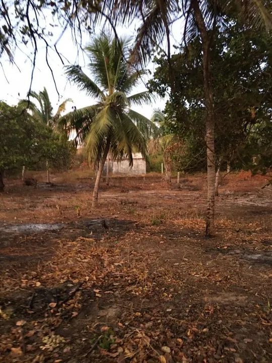 Excelente Área no Centro de Ribamar MCMV - Foto 6