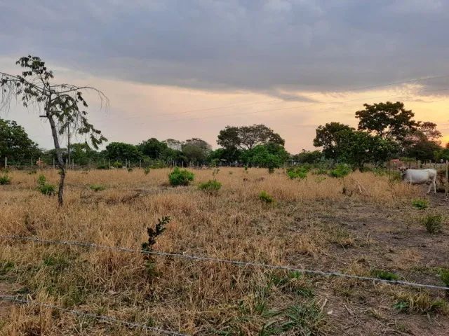 Vende-se chácaras a partir de 1.000 m² em Aragoiânia - Goiás - Foto 4